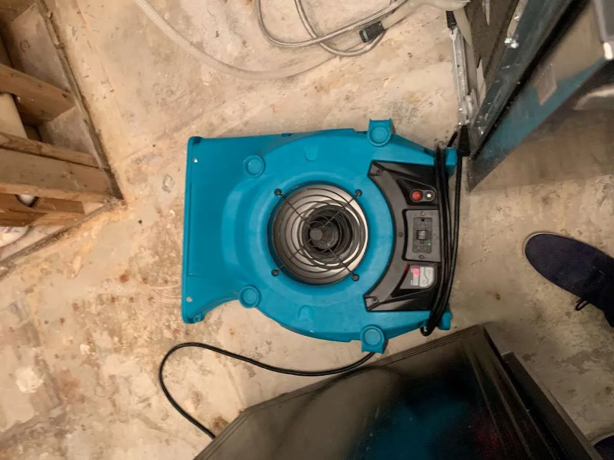 Air mover drying equipment for Mold Remediation & Removal in Sans Souci